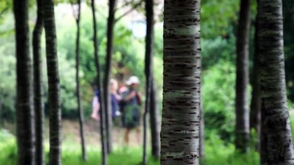 Camino de Santiago - Eine Reise auf dem Jakobsweg | movie | 2015 | Official Trailer