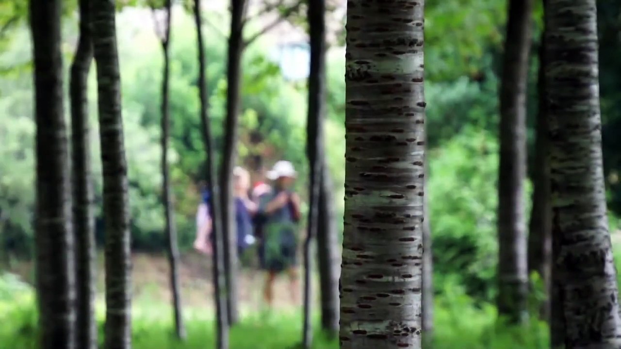 Camino de Santiago - Eine Reise auf dem Jakobsweg | movie | 2015 | Official Trailer