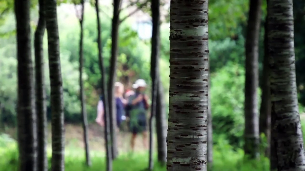 Camino de Santiago - Eine Reise auf dem Jakobsweg | movie | 2015 | Official Trailer