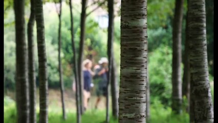 Camino de Santiago - Eine Reise auf dem Jakobsweg | movie | 2015 | Official Trailer