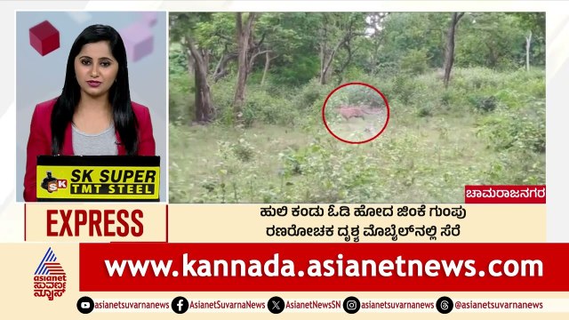 ಹುಲಿ ಕಂಡು ಓಡಿ ಹೋದ ಜಿಂಕೆ ಗುಂಪು | Morning News Express | Kannada News | Suvarna News