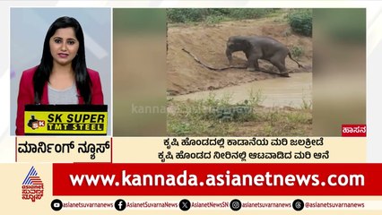 ನೀರಿನಲ್ಲಿ ಆಟ ಆಡಿದ ಮರಿ ಆನೆ  | Morning News Express | Kannada News | Suvarna News