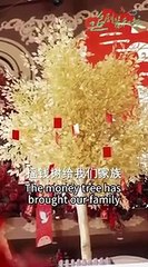 My cute baby is the God of Wealth - Chinese  2025