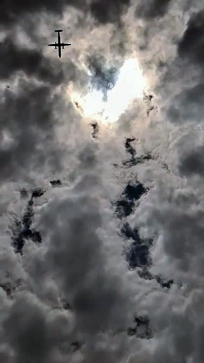 Flyhigh
