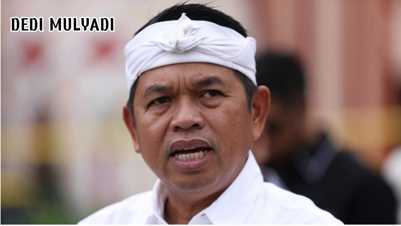 DEDI MULYADI
