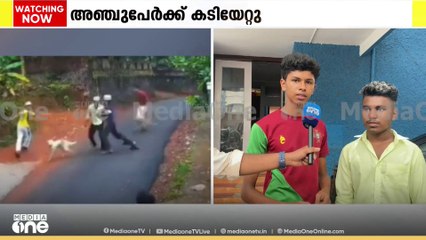 തിരൂർ ആതവനാട് തെരുവുനായ ആക്രമണം; അഞ്ചു പേർക്ക് കടിയേറ്റു