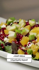 بالفيديو، سلطة الشتاء