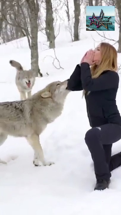 The Girl and the Wolf – A Mysterious Voice Encounter