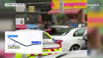 슈퍼마켓 들른 사이 운전석 올라타 도주