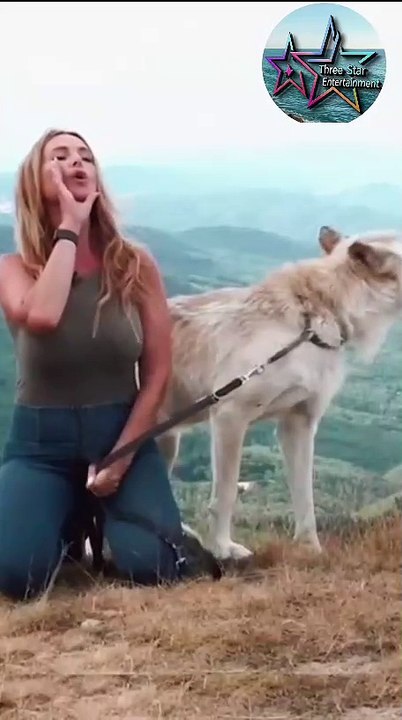 The Girl and the Wolf - A Mysterious Voice Encounter