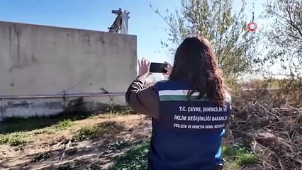 Çevre, Şehircilik ve İklim Değişikliği Bakanlığından Marmara Denizi'ne Sıkı Takip!