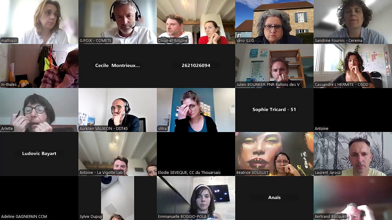 [COMETE] (A)ménager les territoires ruraux vivants et productifs : comment les tiers lieux peuvent accompagner la montée en compétence des acteurs ? | CGDD 03/05/2025