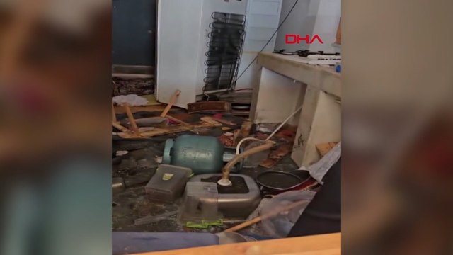 Aç kalan ayılar, belediye başkanının yayla evine girdi