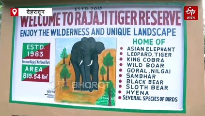 प्रोजेक्ट टाइगर में लेपर्ड बने चिंता, राजाजी टाइगर रिजर्व में ये हैं चुनौती