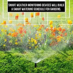 The Future Of Smart Homes - Ronnie Tarabay