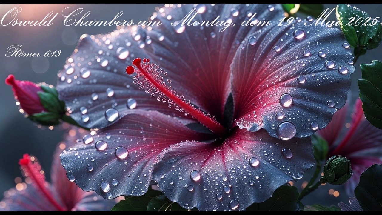 Oswald Chambers am Montag, dem 19. Mai 2025, zu Römer 6,13