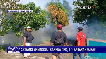 Kasus DBD Meningkat, 3 Orang di Karawang Meninggal Dunia, 1 Di antaranya Balita