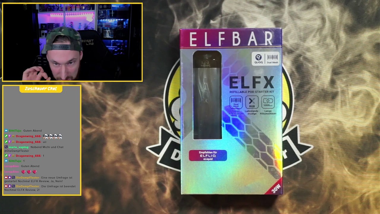 Elfbar ELFX Podsystem Review und Test