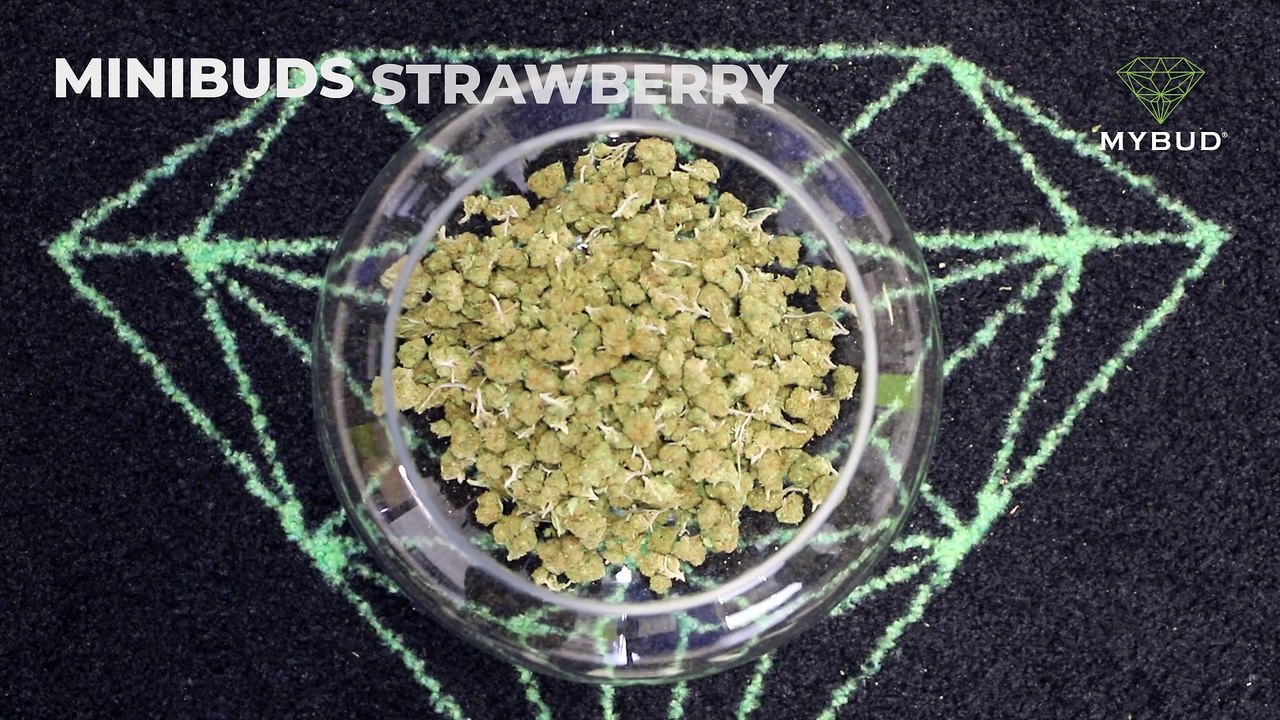 Minibuds Strawberry CBD : une pause fruitée et gourmande