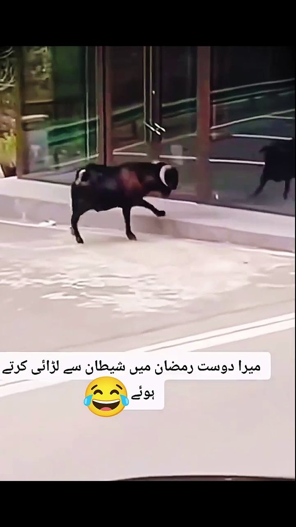 Funny funny