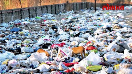 महाराष्ट्रातच प्रथमच राबवला जाणार चेन्नई  पॅटर्न कुठे आणि काय आहे प्रकल्प