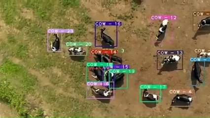 Retì neurali e tipi di AI