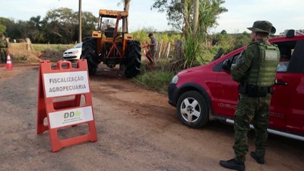 Hit by bird flu, Brazil's farmers hope to lift total export ban