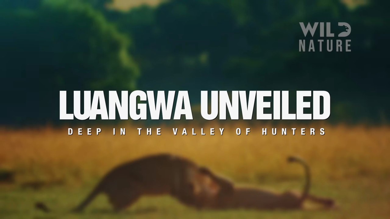 LUANGWA UNVEILED - Deep in the Valley of Hunters - HD 1080p