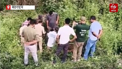 बहराइच में बाइक की चपेट में आया तेंदुआ, गर्दन में आई चोट, तड़प कर हो गई मौत, देखने उमड़ी भीड़