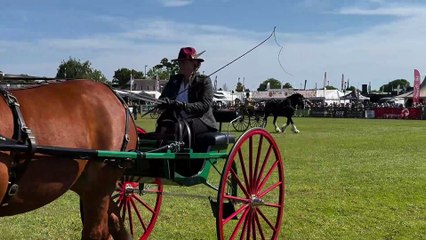 During a carriage driving competition in the main ring at the Devon County Show, video Alan Quick IMG_1728