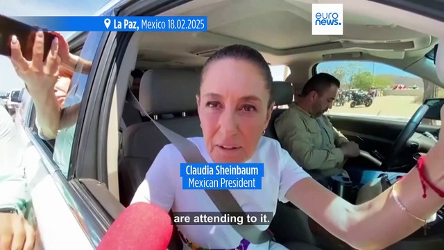 Mexican naval vessel crashes into Brooklyn Bridge, killing two crew members