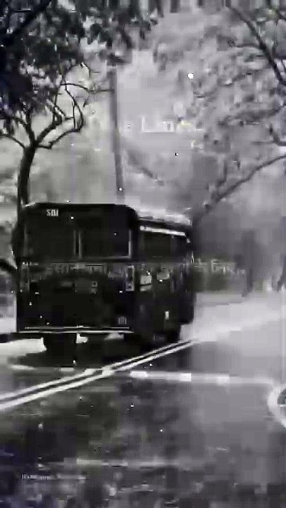 True Lines Inspirational videos. 💯 Motivational status #motivationalspeech #trueline #shortvideo