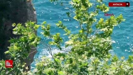 Antalya'da 30 metrelik falezlerden denize tehlikeli atlayış