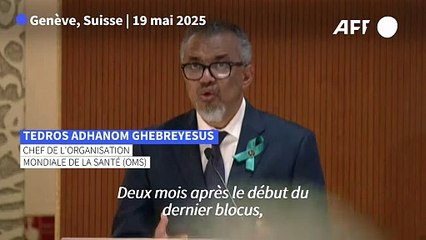 Gaza: "Deux millions de personnes sont affamées", selon le chef de l'OMS