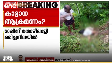 പാലക്കാട് എടത്തനാട്ടുകരയിൽ ടാപ്പിങ് തൊഴിലാളി മരിച്ച നിലയിൽ; ‌‌‌കാട്ടാന ആക്രമണമെന്ന് സംശയം