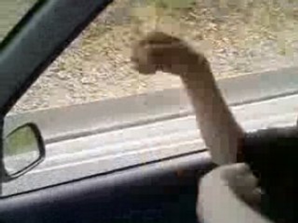 on the road of suisse yeah!!