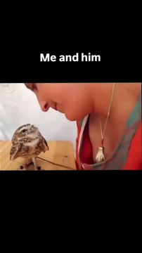 When Animals Steal Your Heart (and Your Kisses) 🐦❤️