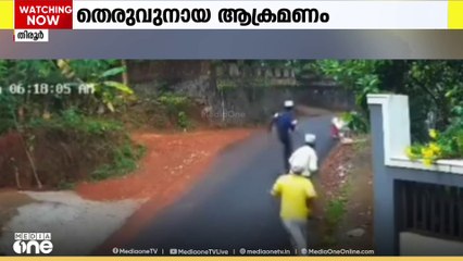 മലപ്പുറത്ത് 6 പേർക്ക് തെരുവുനായയുടെ കടിയേറ്റു