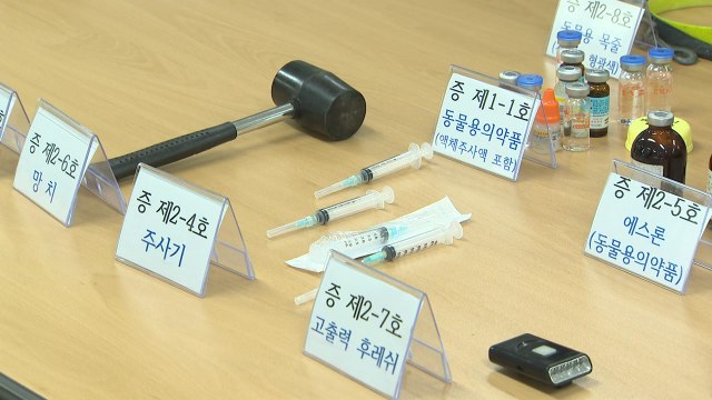 사냥개 풀어 야생동물 160여 마리 불법 포획...일당 구속 / YTN