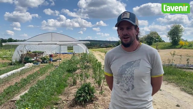 Les Jardins d’Alexis à Ster-Francorchamps : un nouveau projet de vie entre permaculture et bien-être (vidéo)