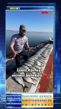 Kocaeli Büyükşehir Belediye Başkanı Tahir Büyükakın: Denizdeki çamuru temizliyorsunuz da ne oluyor!