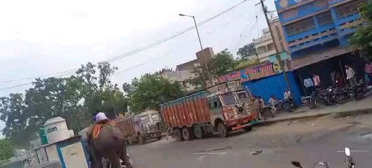haathi ka aatank. Gaadi ko kuchal daala. Ghar tak tod daala 2025
