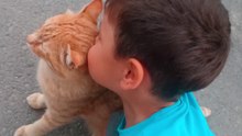 Playtime For Cats🐱😻🐈Kedi İçin Oyun Zamanı 😻🐈🐈💃 Miyav Offical Video