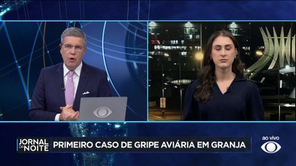 Gripe aviária: governo não sabe quando vai retomar exportações