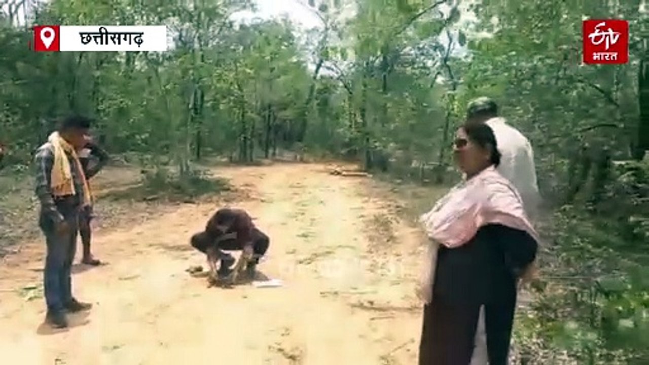धमतरी में मिले टाइगर के फुट मार्क, सीतानदी टाइगर रिजर्व से आई अच्छी खबर