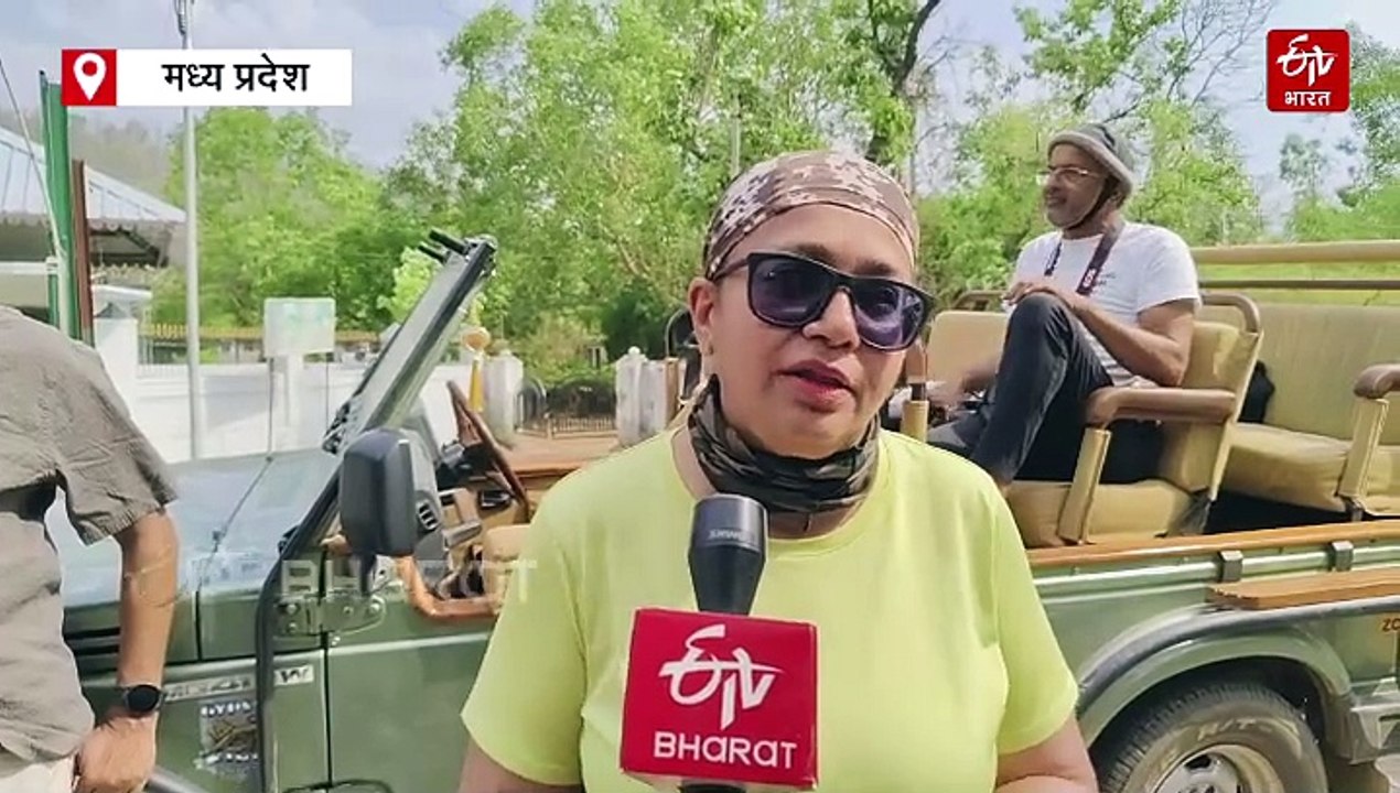 पर्यटकों में पन्ना टाइगर रिजर्व का क्रेज, उबलती गर्मी में पन्ना रिजर्व पहुंच रहे टूरिस्ट