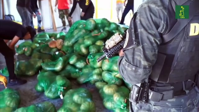 Cuarto golpe consecutivo al narcotráfico- ocupan 334 paquetes, presumiblemente de cocaína, camuflados en auyamas de plástico