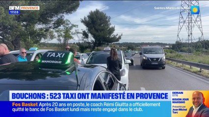 Bouchons : 523 taxis ont manifesté en Provence