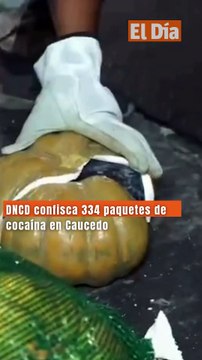 DNCD confisca 334 paquetes de cocaína en Caucedo