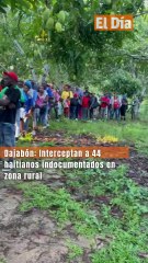 Dajabón: Interceptan a 44 haitianos indocumentados en zona rural